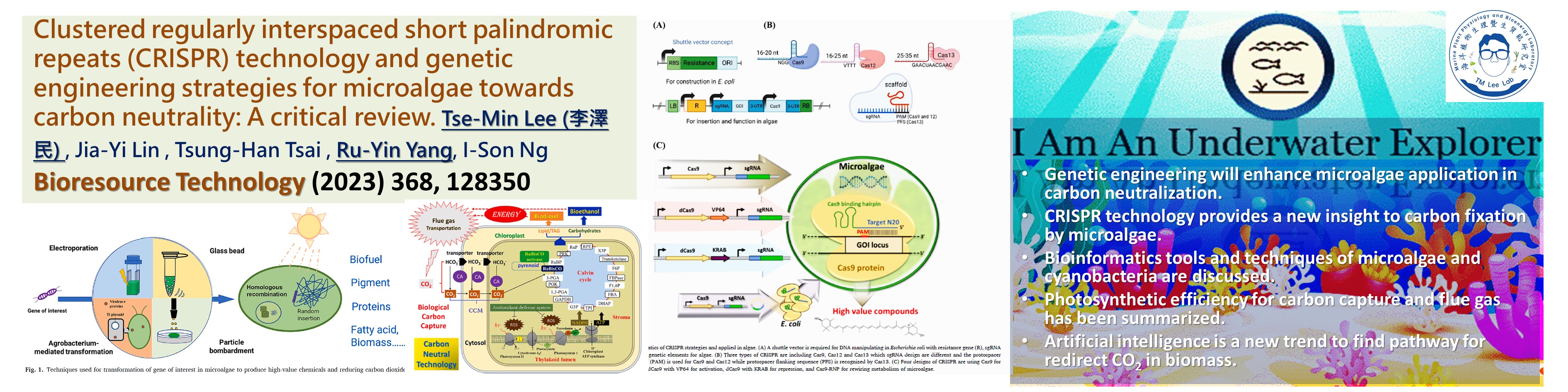 Clustered regularly interspaced short palindromic repeats (CRISPR) technology and genetic engineering strategies for microalgae towards carbon neutrality: A critical review